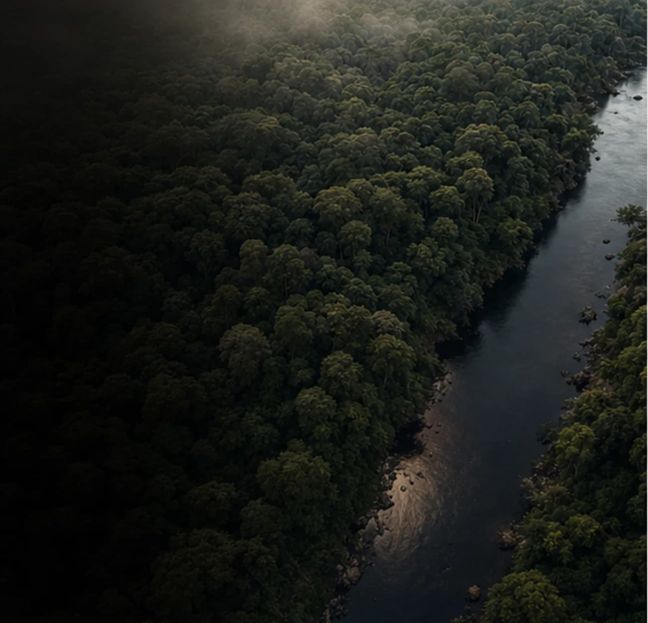 Floresta amazônica vista do alto com rio na lateral.